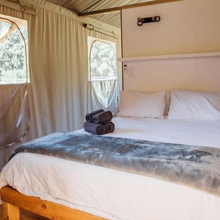 Africamps At White Elephant Safaris Pongola Εξωτερικό φωτογραφία